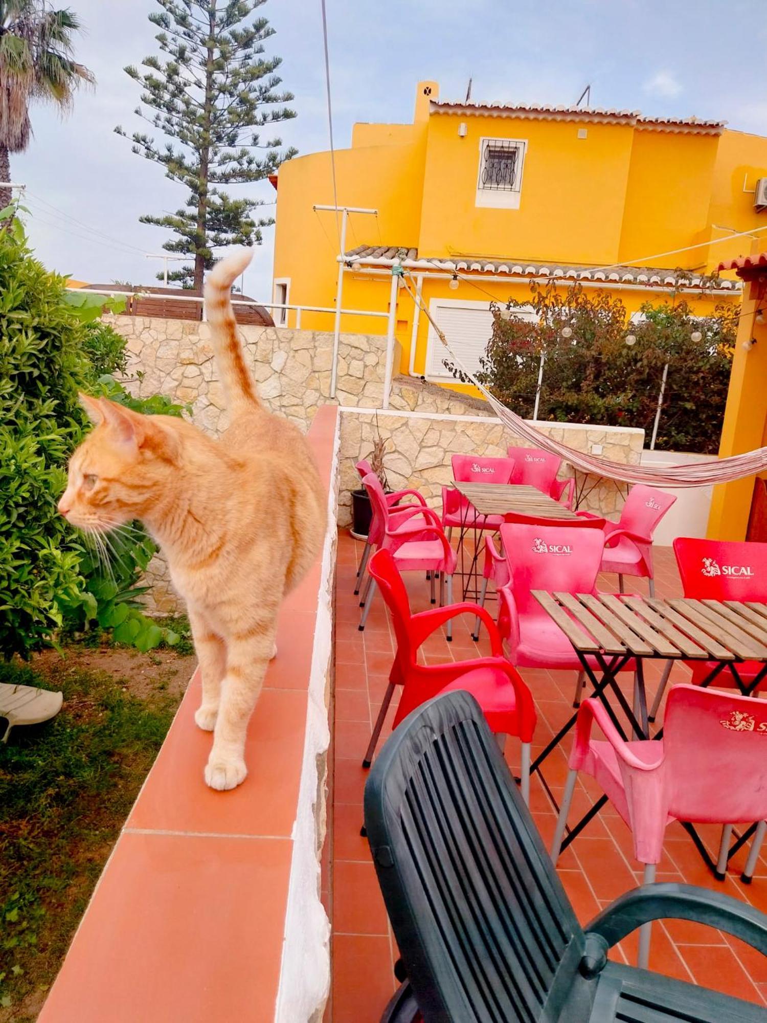 Solemcabana Social Club Lagos Dış mekan fotoğraf
